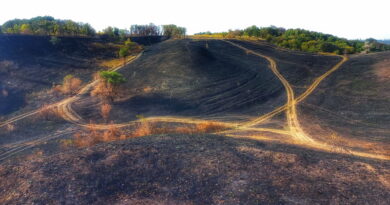 Переможці спеціальної номінації «Втрати природи» у 2025 році