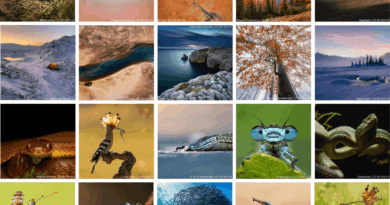 Топ-20 найкращих світлин року міжнародного фотоконкурсу Wiki Loves Earth 2025