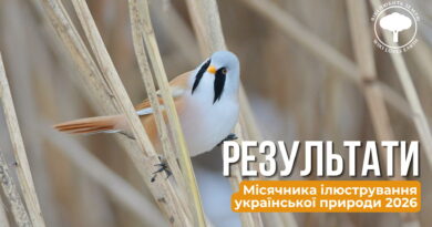 Підсумки Місячника ілюстрування української природи у 2026 році